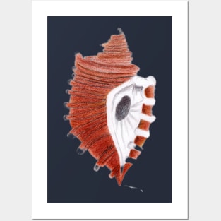 Seashell on the beach Posters and Art